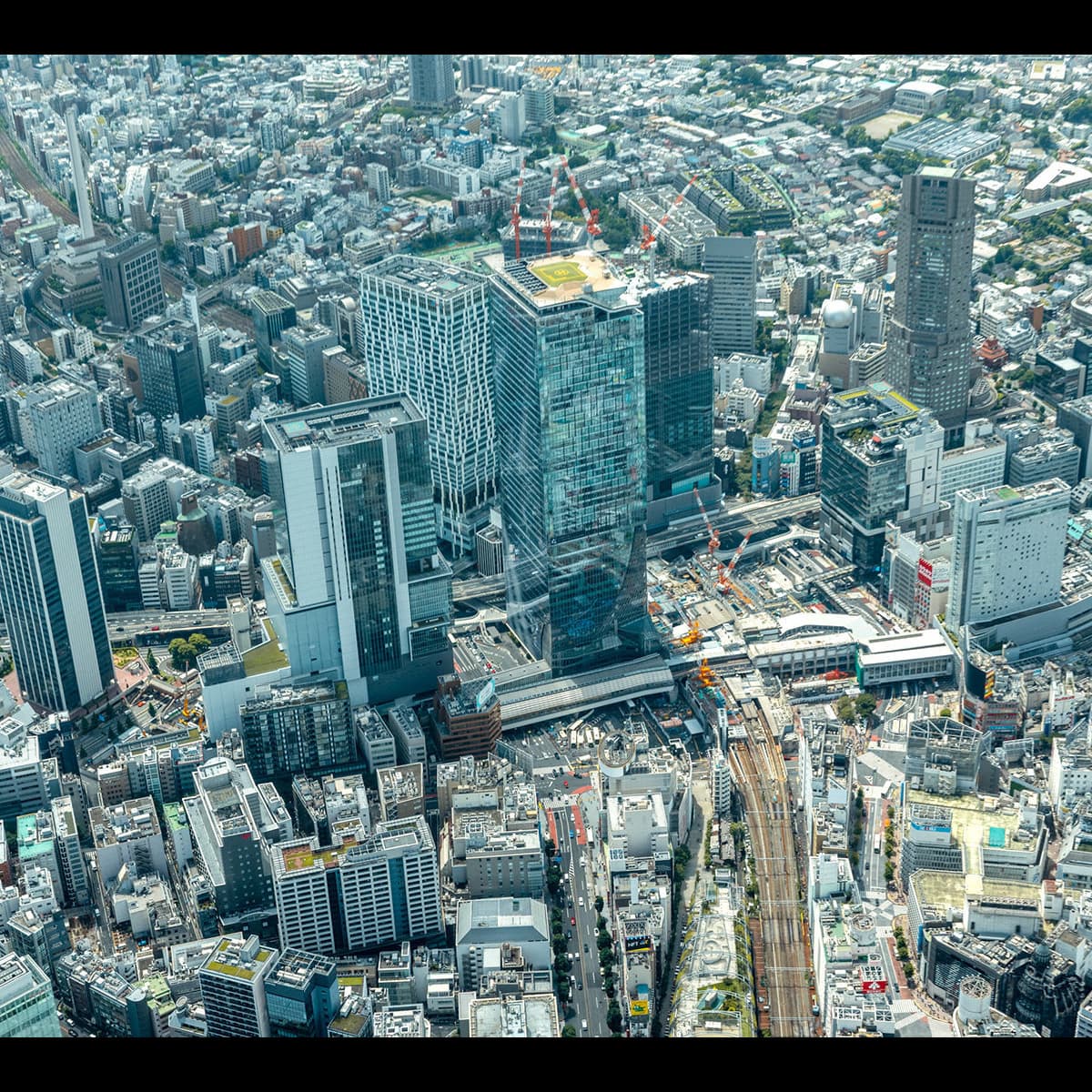 渋谷駅周辺